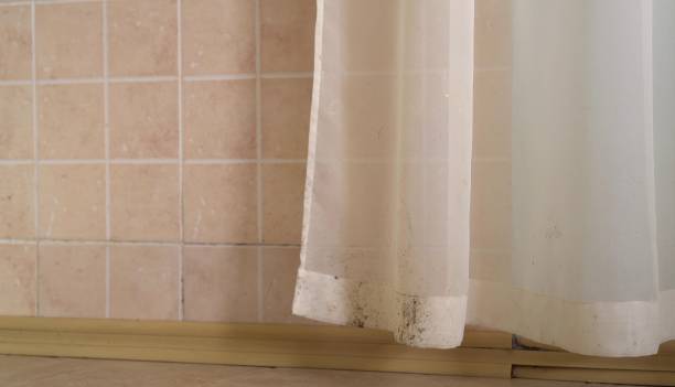 Best Biohazard Mold Removal  in Oakland, OK